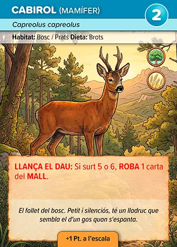 Ós Bru