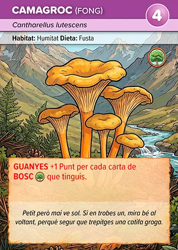 Ós Bru