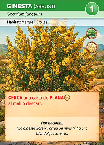 Ginesta